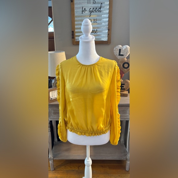 NWT Ann Taylor Ruffle Sleeve Cinched Hem Top - Picture 3 of 11